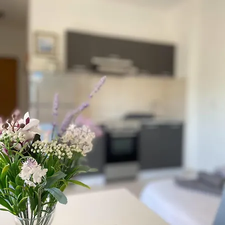 Jure Apartmán
